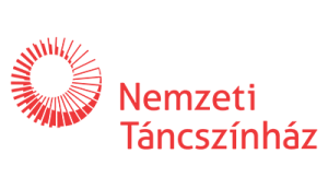 logo-nt